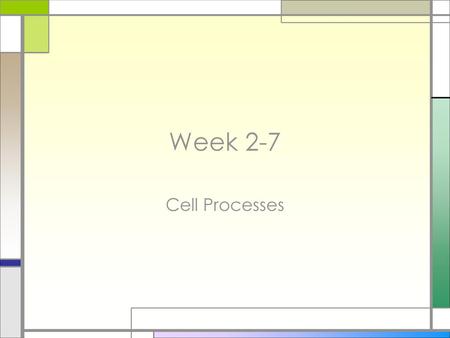 Week 2-7 Cell Processes.