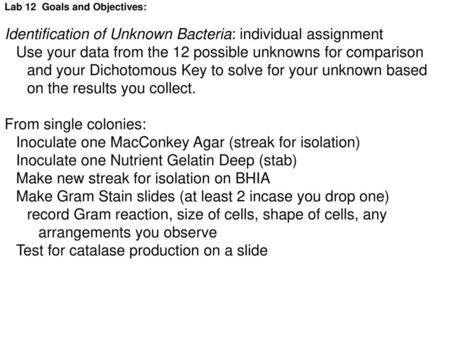 Identification of Unknown Bacteria: individual assignment