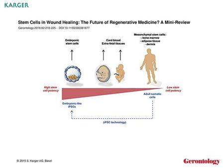 Stem Cells in Wound Healing: The Future of Regenerative Medicine
