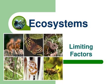 Ecosystems Limiting Factors.