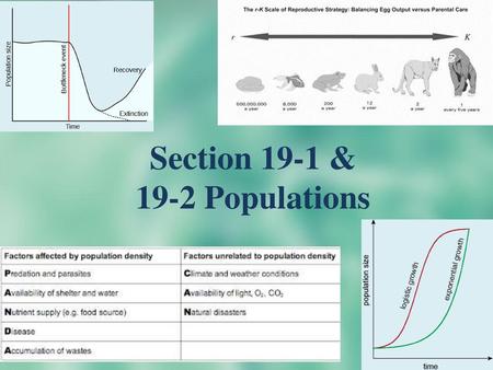 Section 19-1 & 19-2 Populations