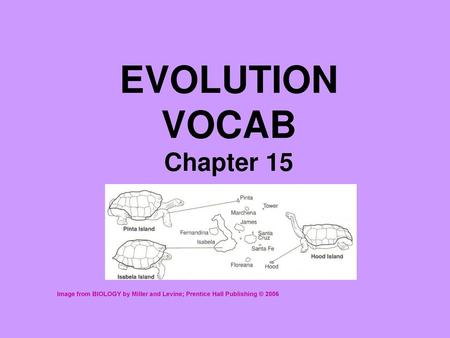 EVOLUTION VOCAB Chapter 15