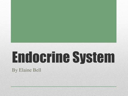 Endocrine System By Elaine Bell.
