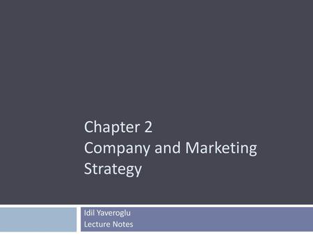 Chapter 2 Company and Marketing Strategy