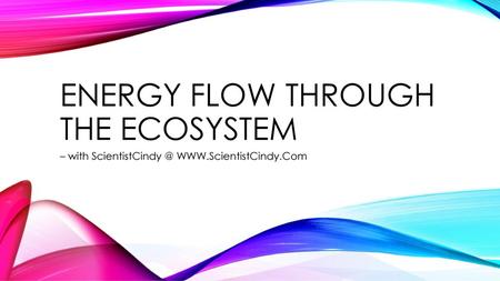 Energy Flow Through the ecosystem