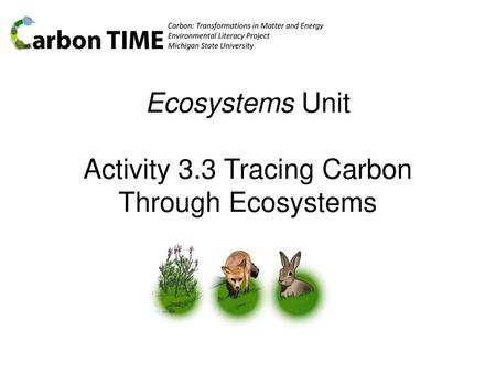 Ecosystems Unit Activity 3.3 Tracing Carbon Through Ecosystems