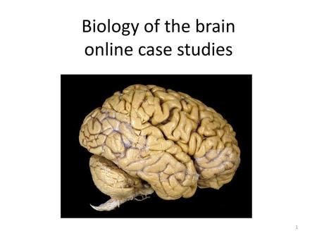 Biology of the brain online case studies