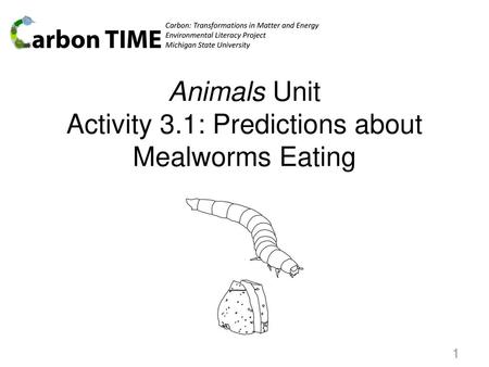 Animals Unit Activity 3.1: Predictions about Mealworms Eating