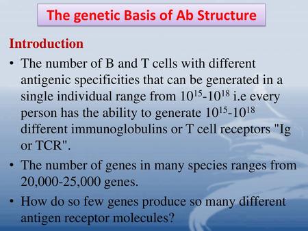 The genetic Basis of Ab Structure