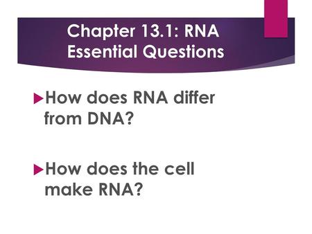 Chapter 13.1: RNA Essential Questions