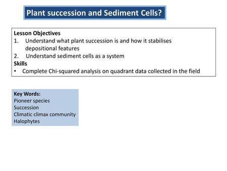 Plant succession and Sediment Cells?