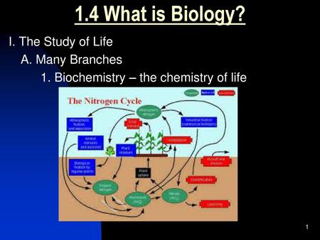 1.4 What is Biology? I. The Study of Life A. Many Branches