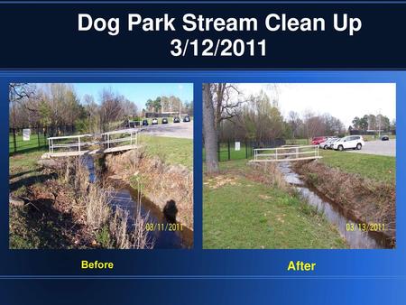 Dog Park Stream Clean Up 3/12/2011