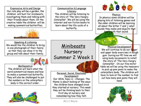 Minibeasts Nursery Summer 2 Week 1