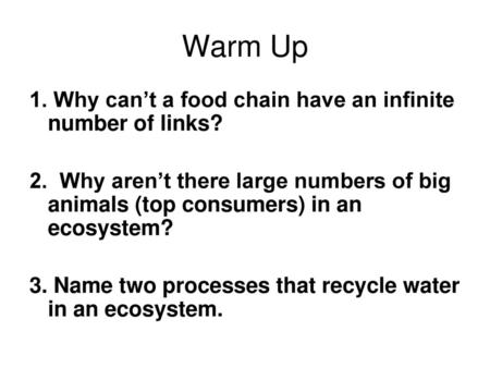 Warm Up 1. Why can’t a food chain have an infinite number of links?