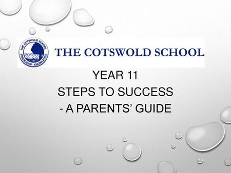 Year 11 steps to success - A parents’ guide