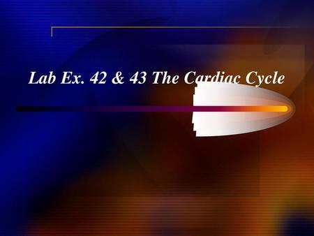 Lab Ex. 42 & 43 The Cardiac Cycle