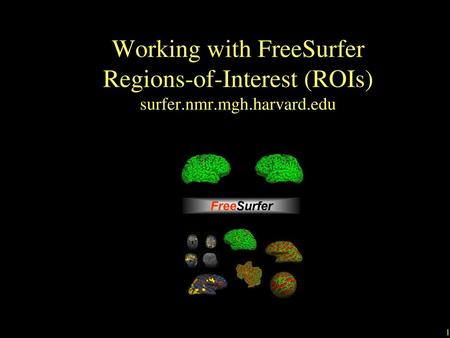 Working with FreeSurfer Regions-of-Interest (ROIs) surfer. nmr. mgh