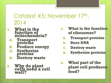 Catalyst #5: November 17th, 2014