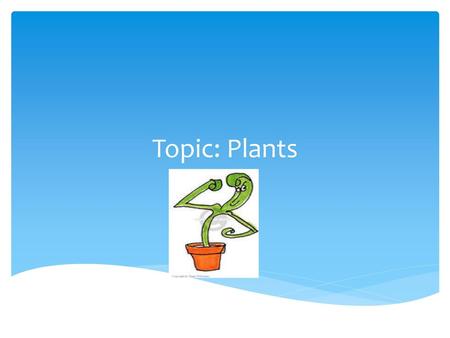 Topic: Plants.