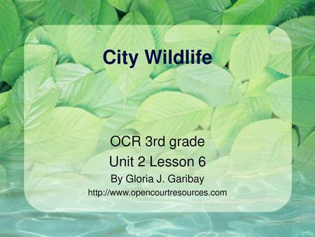 City Wildlife OCR 3rd grade Unit 2 Lesson 6 By Gloria J. Garibay