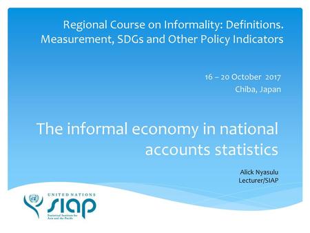 The informal economy in national accounts statistics
