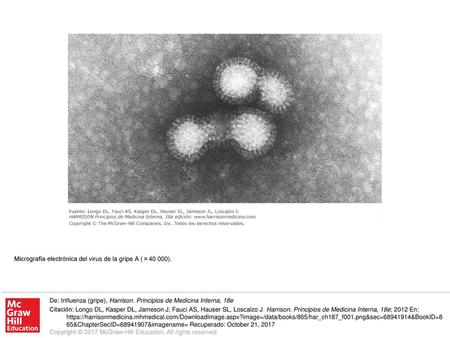 Micrografía electrónica del virus de la gripe A (×40 000).