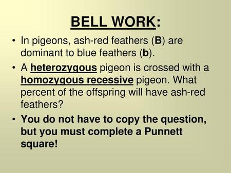 BELL WORK: In pigeons, ash-red feathers (B) are dominant to blue feathers (b). A heterozygous pigeon is crossed with a homozygous recessive pigeon. What.