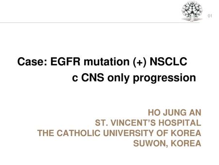 Case: EGFR mutation (+) NSCLC c CNS only progression