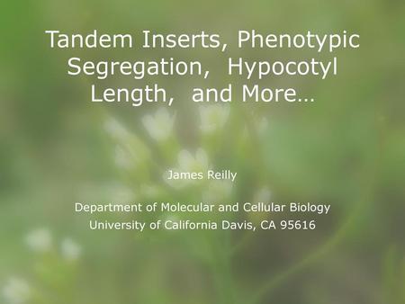 Tandem Inserts, Phenotypic Segregation, Hypocotyl Length, and More…