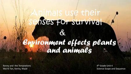 Animals use their senses for survival