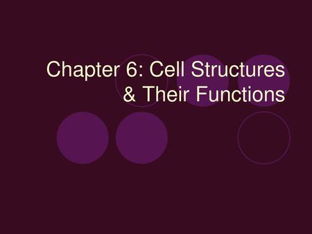 Chapter 6: Cell Structures & Their Functions