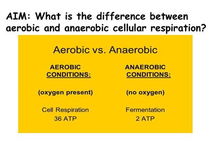 What is the equation for Cellular Respiration?