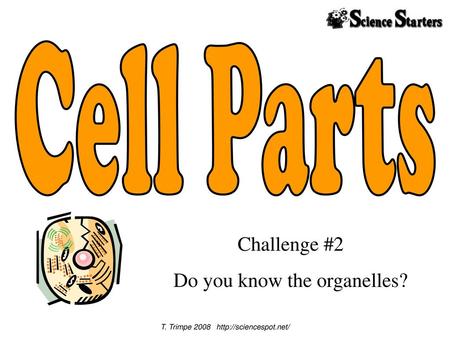 Cell Parts Challenge #2 Do you know the organelles?