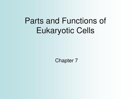 Parts and Functions of Eukaryotic Cells Chapter 7