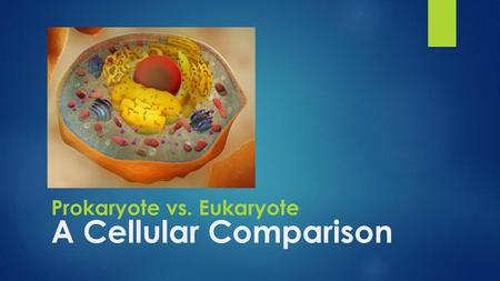 Prokaryote vs. Eukaryote A Cellular Comparison