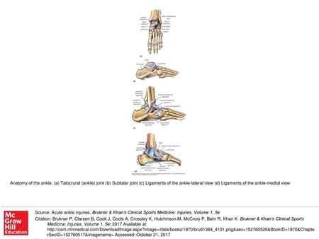 Anatomy of the ankle. (a) Talocrural (ankle) joint (b) Subtalar joint (c) Ligaments of the ankle-lateral view (d) Ligaments of the ankle-medial view Source: