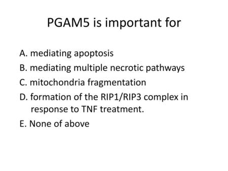 PGAM5 is important for A. mediating apoptosis