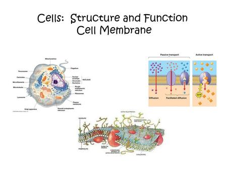 Cells: Structure and Function