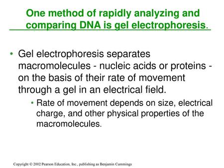 One method of rapidly analyzing and comparing DNA is gel electrophoresis. Gel electrophoresis separates macromolecules - nucleic acids or proteins - on.