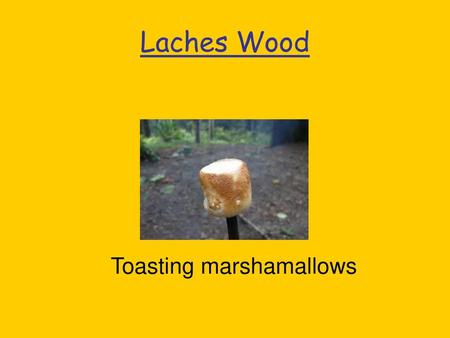 Toasting marshamallows