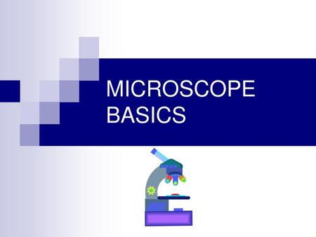 MICROSCOPE BASICS.
