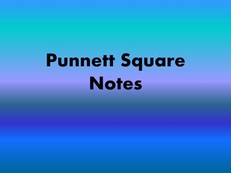 Punnett Square Notes.
