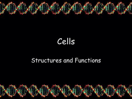 Structures and Functions