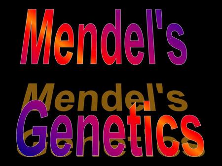 Mendel's Genetics.
