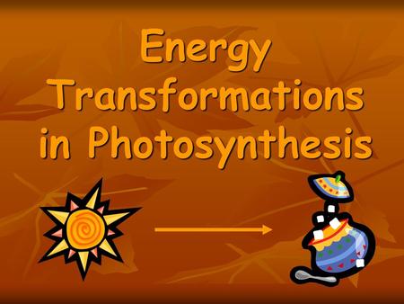 Energy Transformations in Photosynthesis