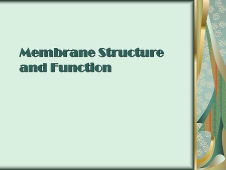 Membrane Structure and Function