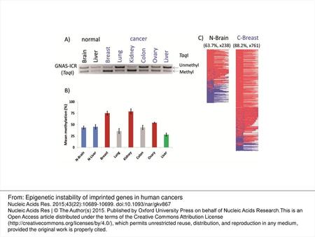 From: Epigenetic instability of imprinted genes in human cancers