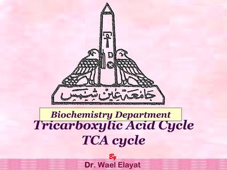 Tricarboxylic Acid Cycle TCA cycle