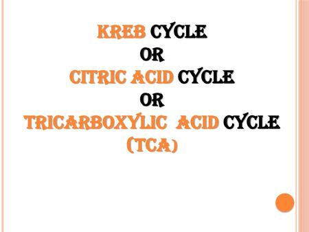 TRICARBOXYLIC ACID CYCLE (TCA)
